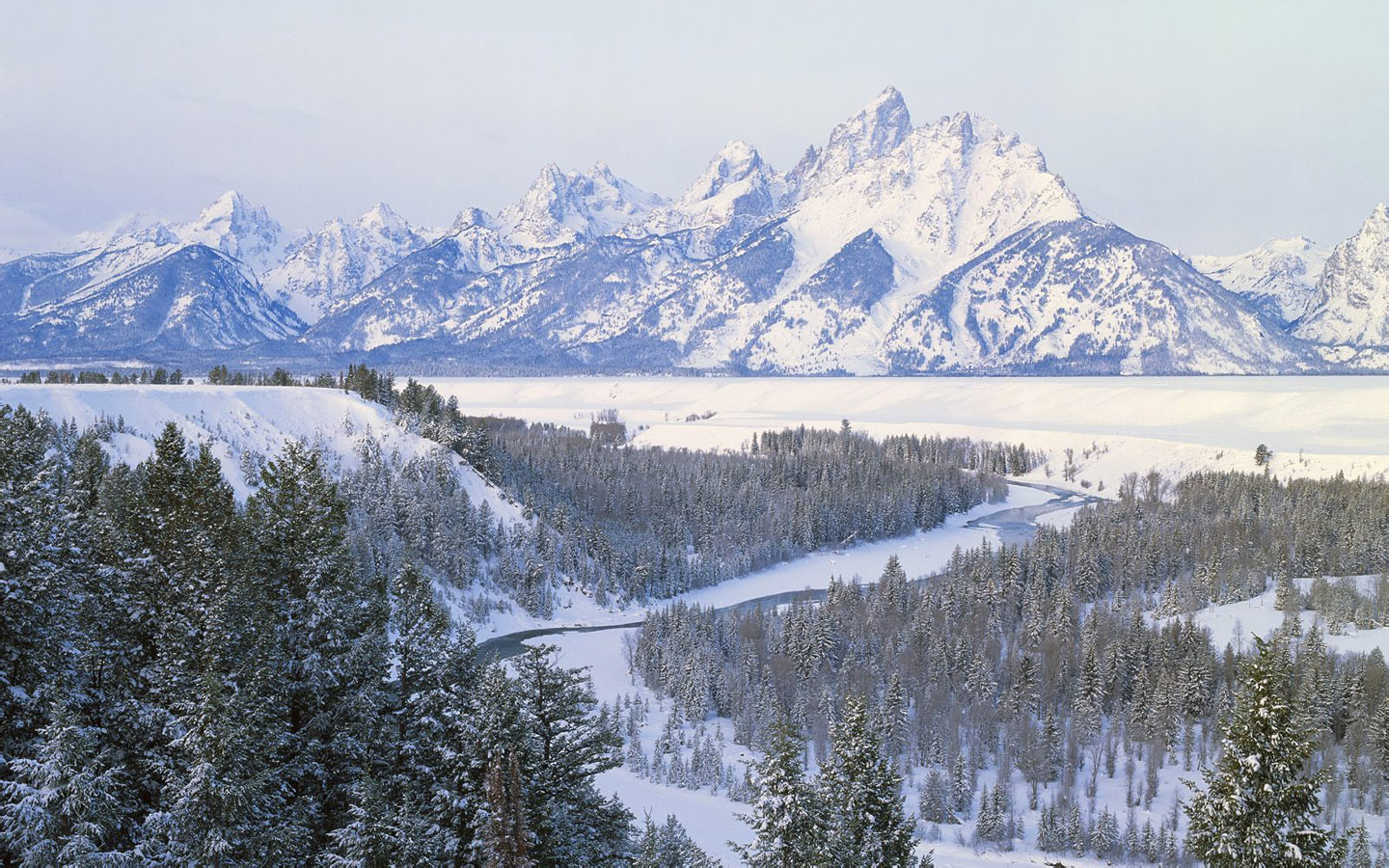 郑州网站优化技巧