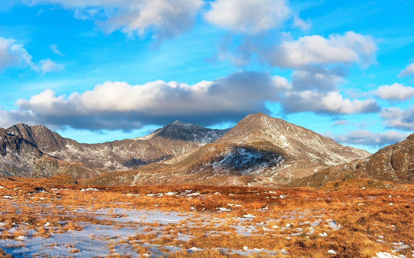 网站建设哪个公司比较好
