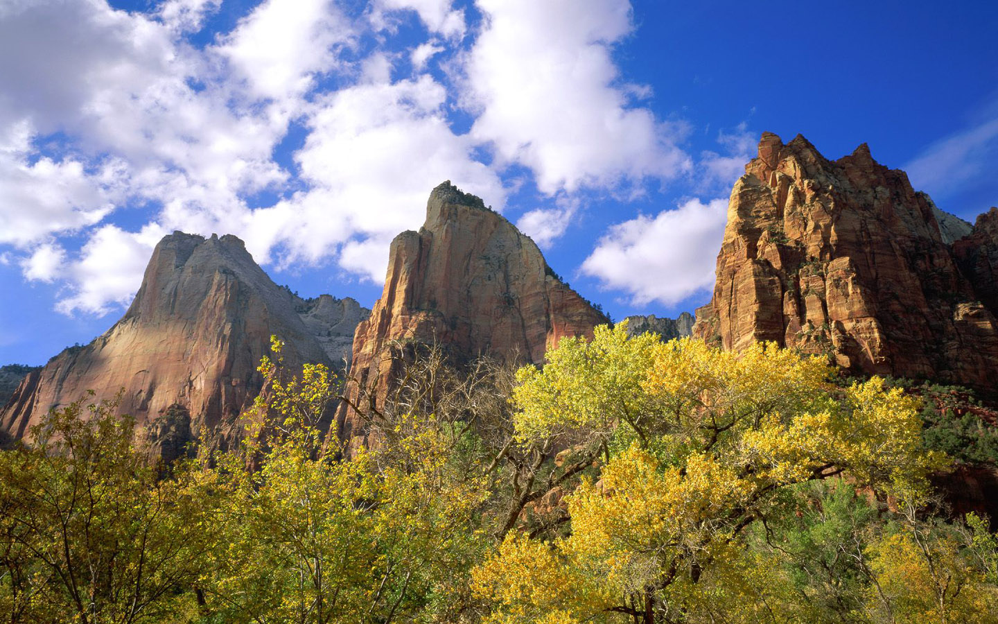 做网络推广压力大吗