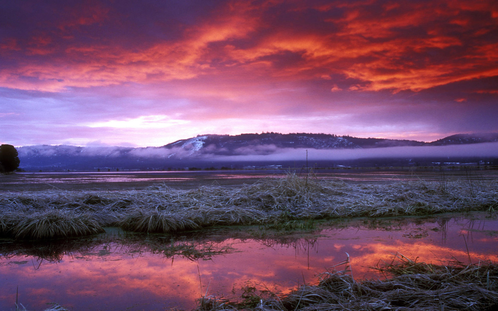 福州普通网站制作