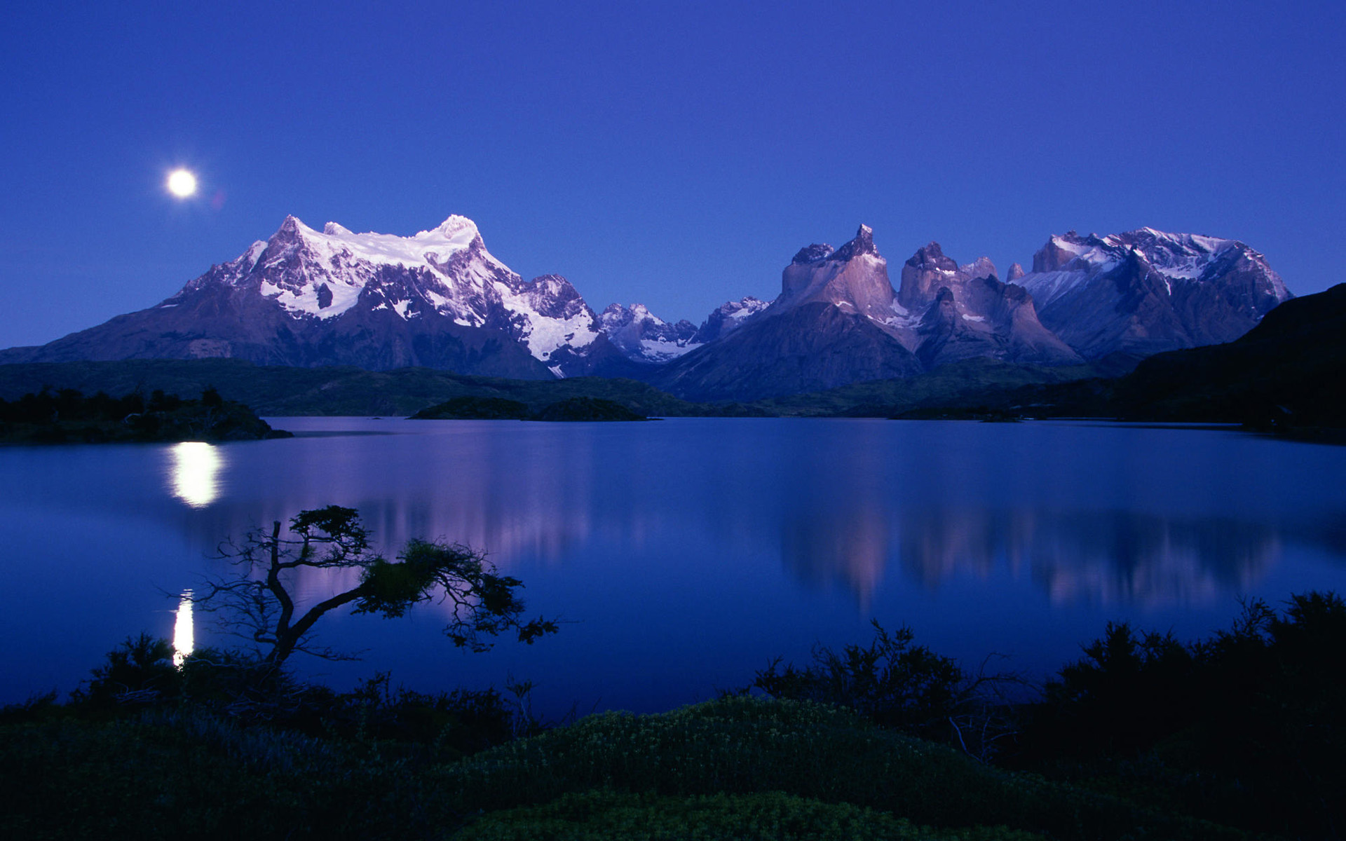 泉州做网站软件