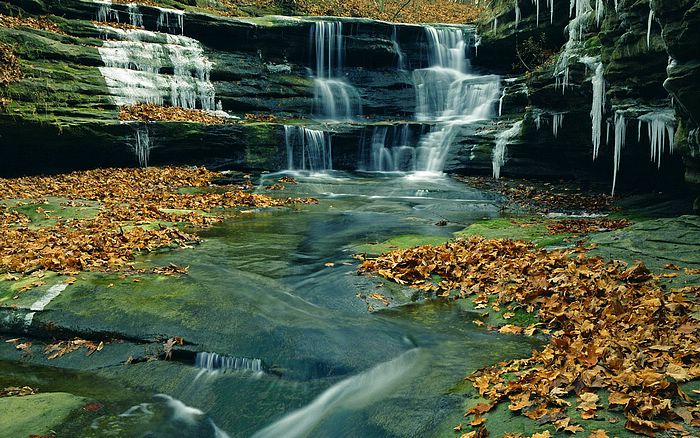 网站建设哪个公司比较好