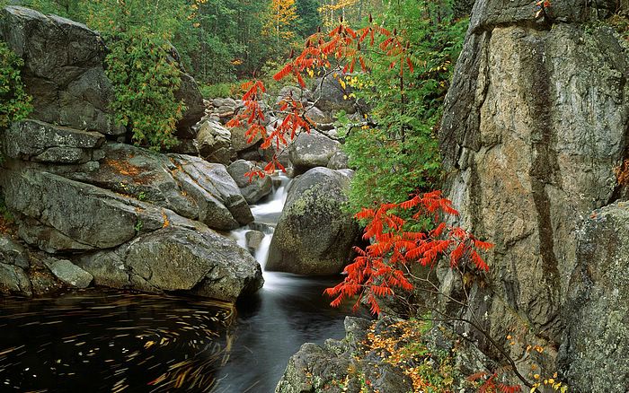 单页面优化怎么做又如何推广