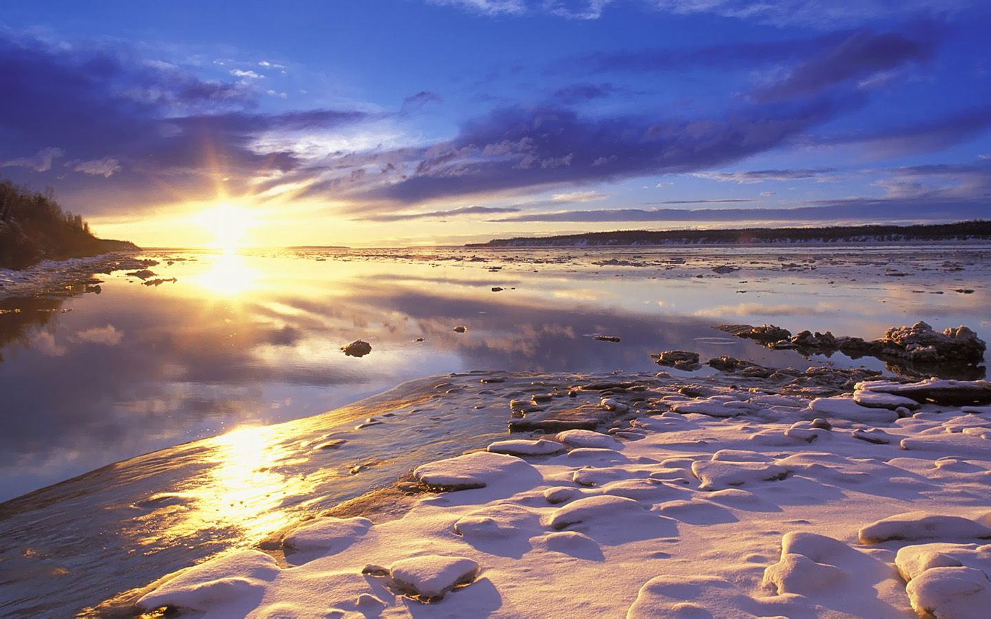 搜索页相关搜索什么意思