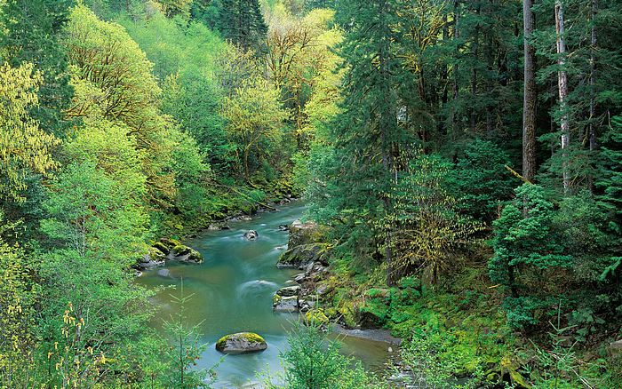 上海健身教练培训学校排名