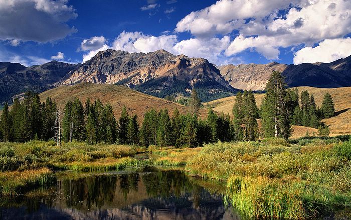 优化营商环境工作总结