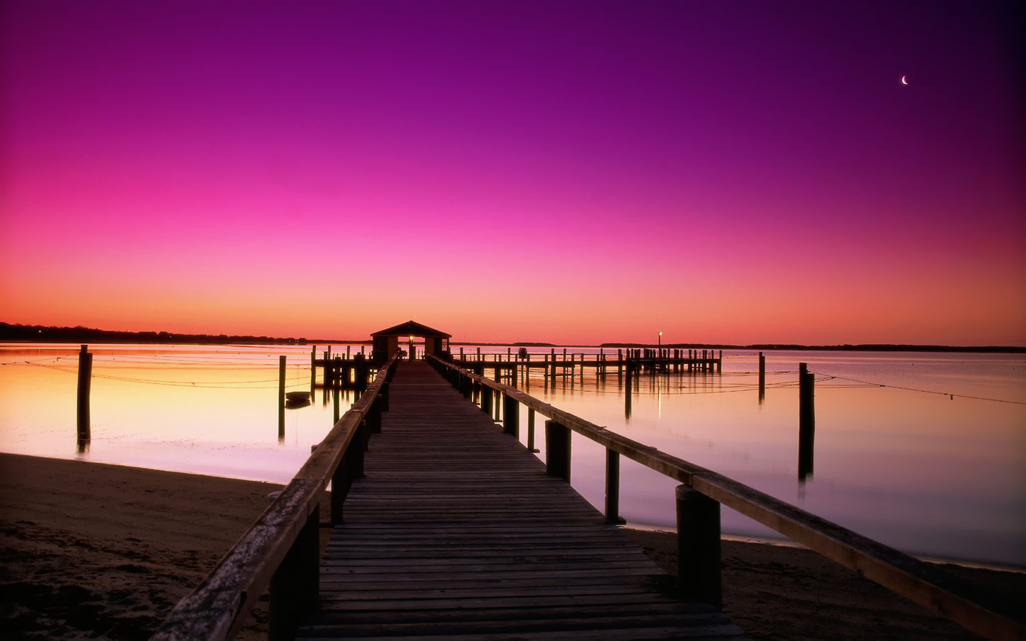 搜索历史打开搜索历史记录