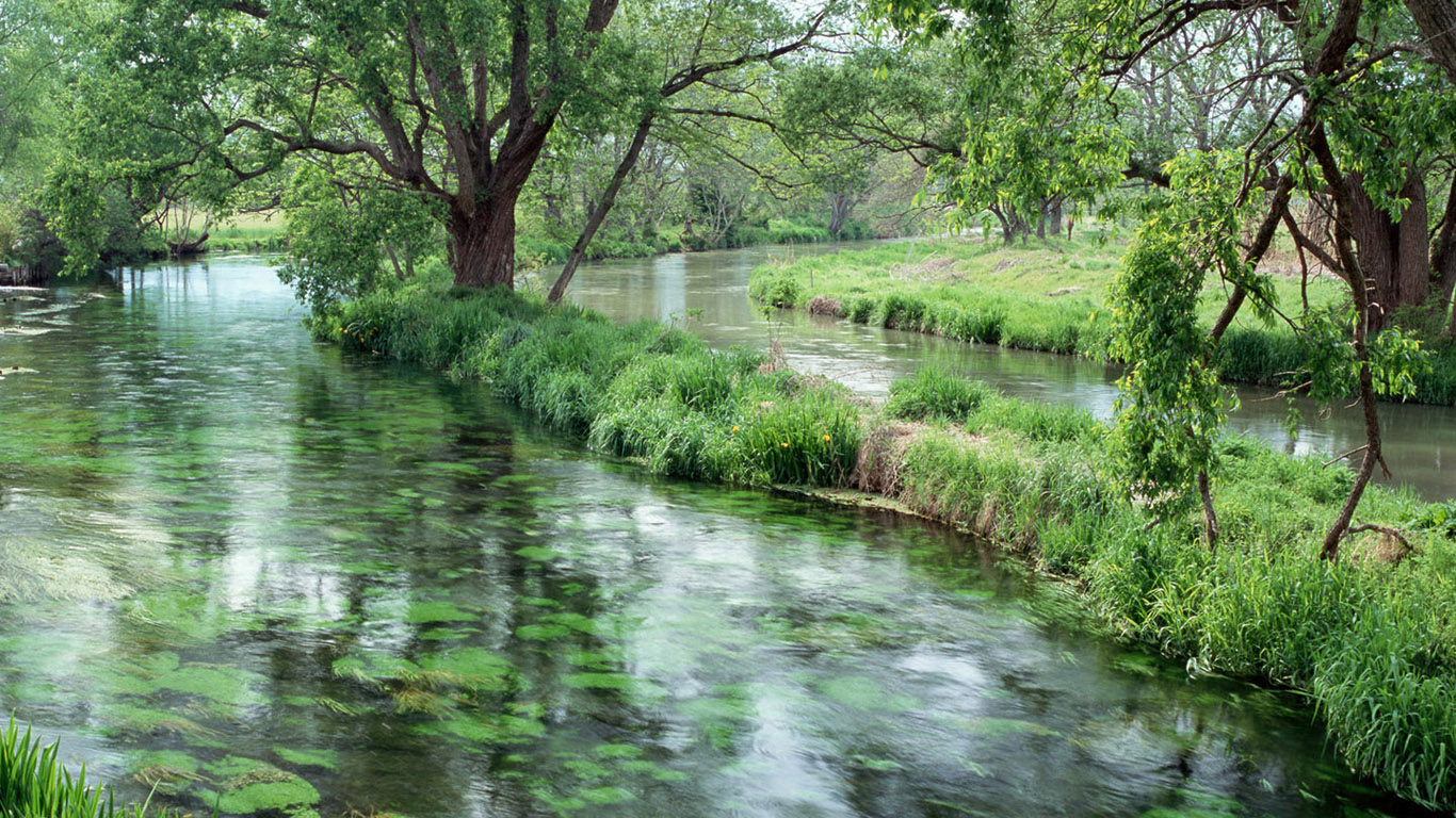 如何进行线上商城推广