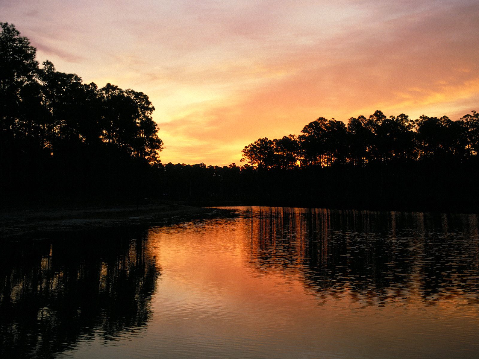 关键词排名优化登录