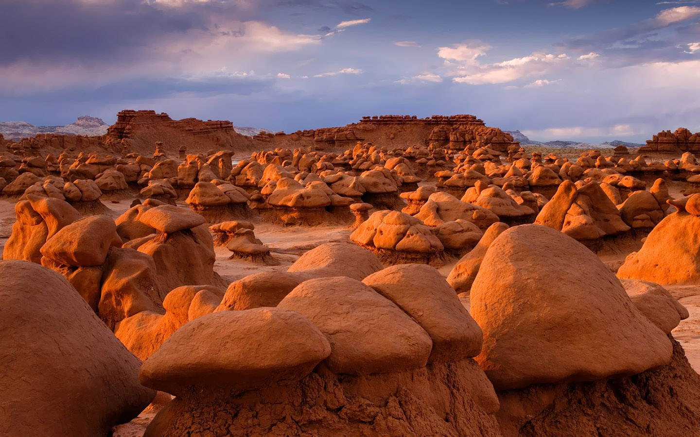 网站规划设计报告
