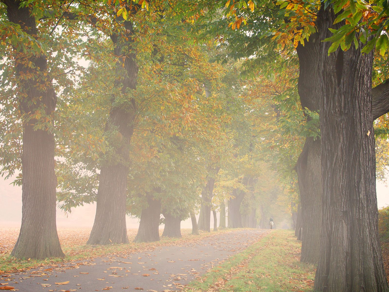 推广公司怎么接活