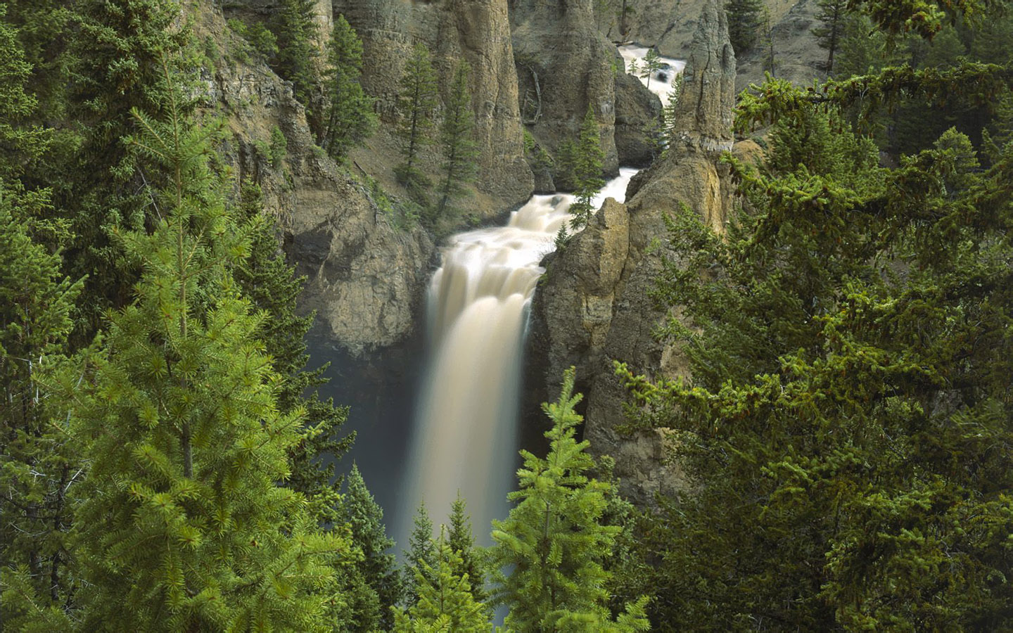 网站推广的主要特点
