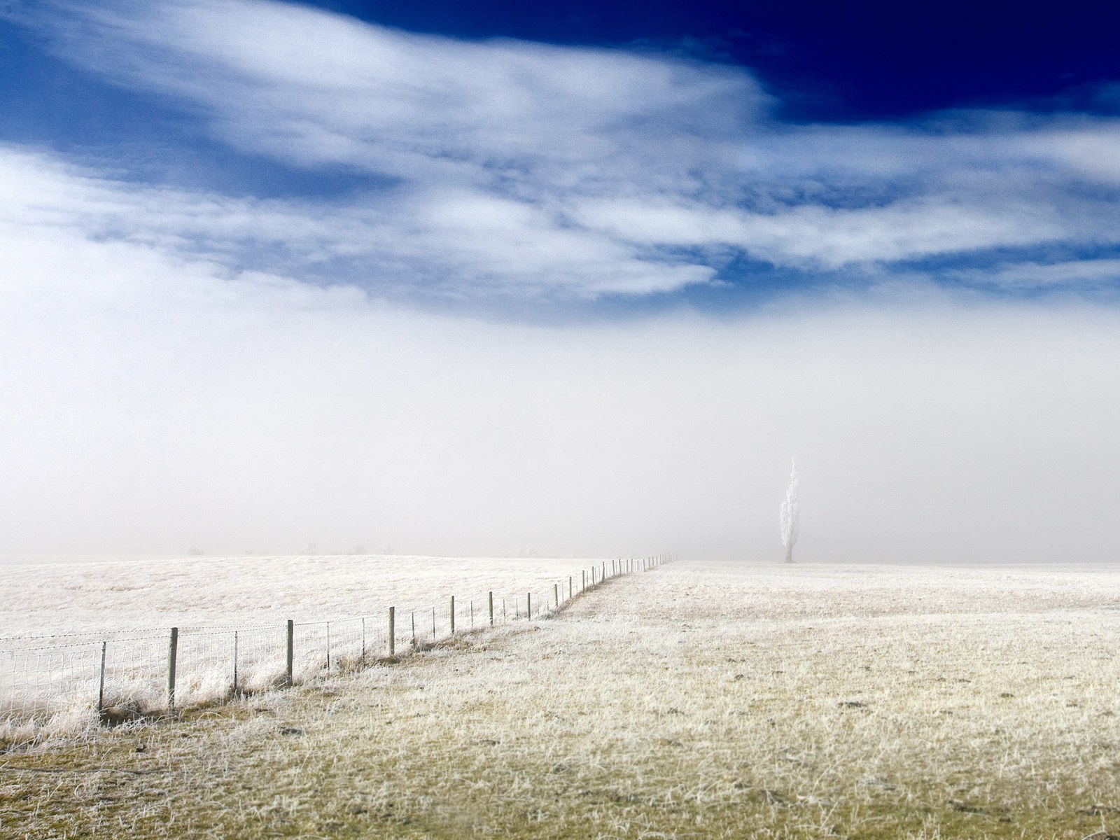 我今年会不会死测试