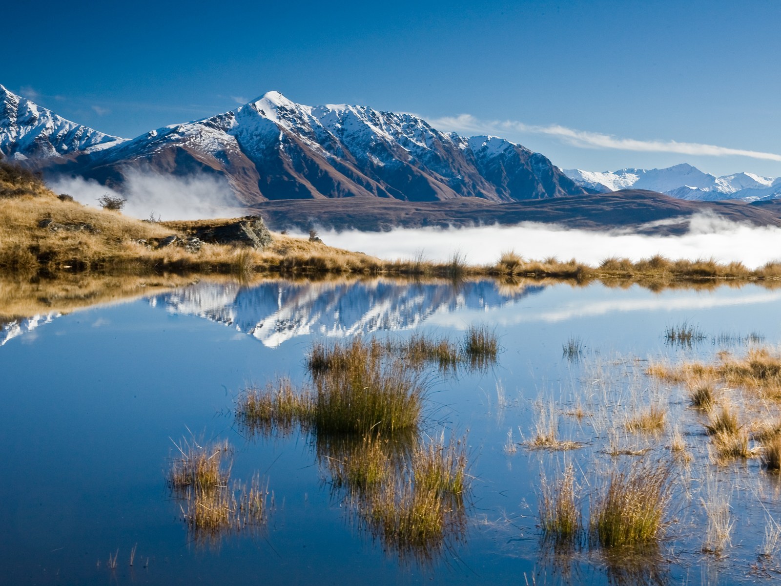 圈子电商是做什么的
