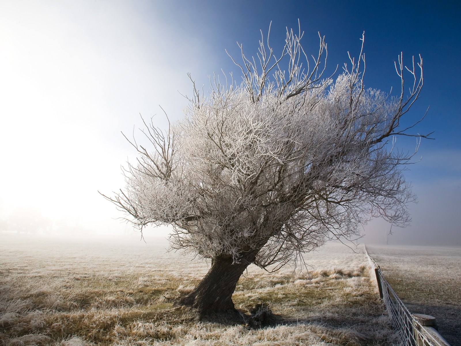 被骗小于2000怎么办