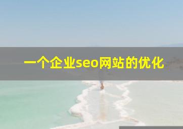 一个企业seo网站的优化