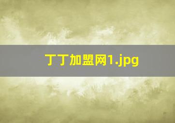 丁丁加盟网