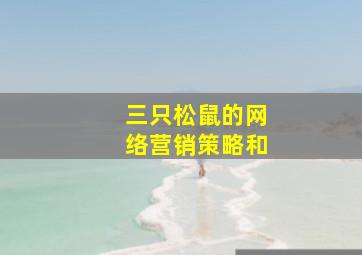 三只松鼠的网络营销策略和
