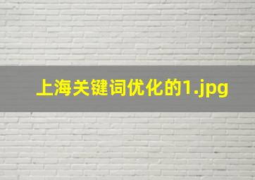 上海关键词优化的