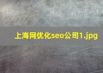 上海网优化seo公司