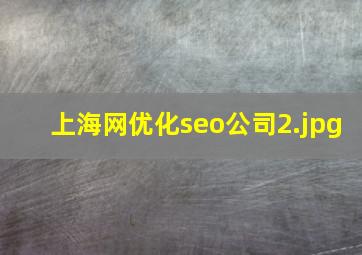 上海网优化seo公司