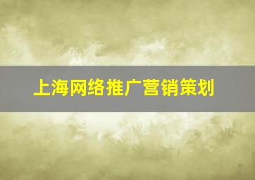 上海网络推广营销策划
