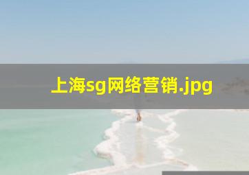 上海sg网络营销