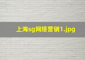 上海sg网络营销