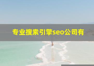 专业搜索引擎seo公司有