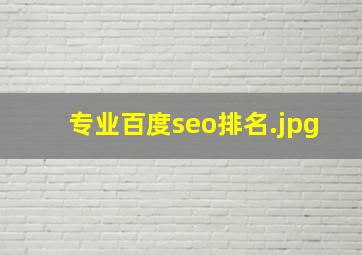 专业百度seo排名