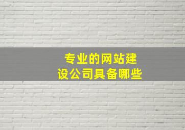 专业的网站建设公司具备哪些