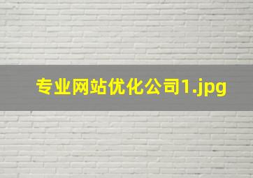 专业网站优化公司