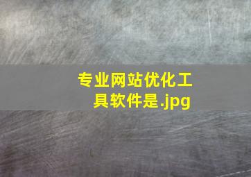专业网站优化工具软件是
