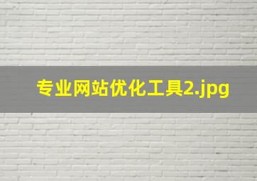 专业网站优化工具
