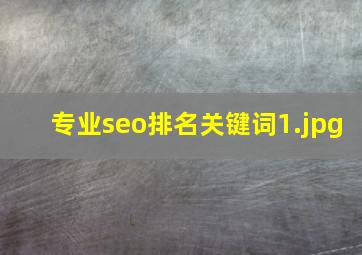 专业seo排名关键词