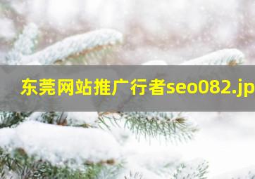 东莞网站推广行者seo08