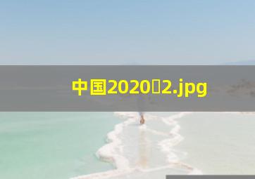 中国2020�
