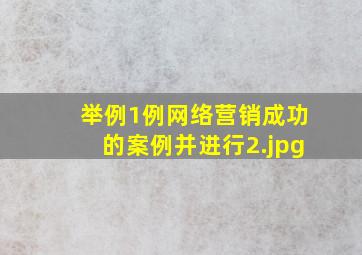 举例1例网络营销成功的案例并进行