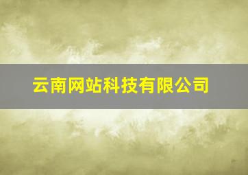 云南网站科技有限公司