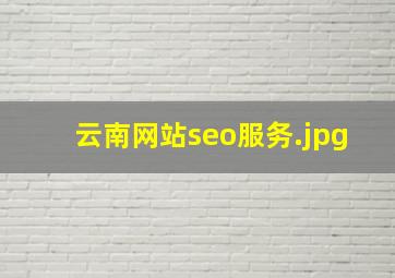 云南网站seo服务