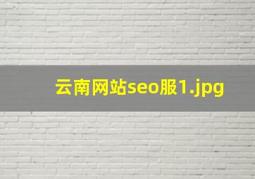 云南网站seo服