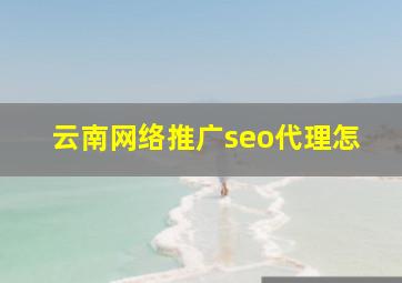 云南网络推广seo代理怎