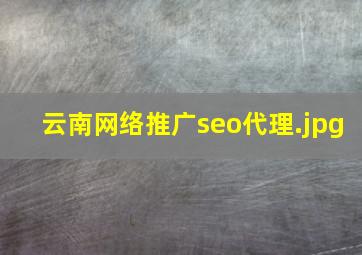 云南网络推广seo代理