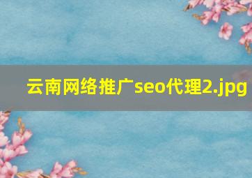 云南网络推广seo代理