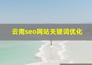 云南seo网站关键词优化