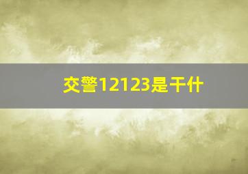交警12123是干什