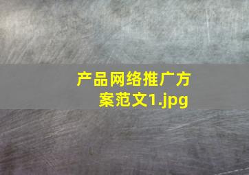 产品网络推广方案范文