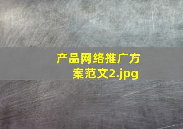 产品网络推广方案范文