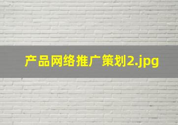 产品网络推广策划