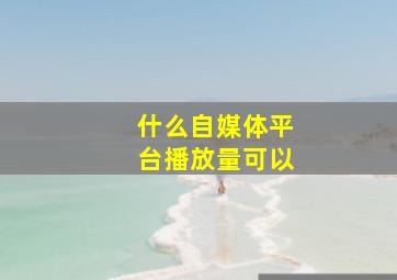 什么自媒体平台播放量可以